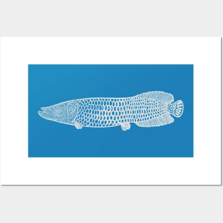 Arapaima - detailed hand drawn fish lover's design Posters and Art